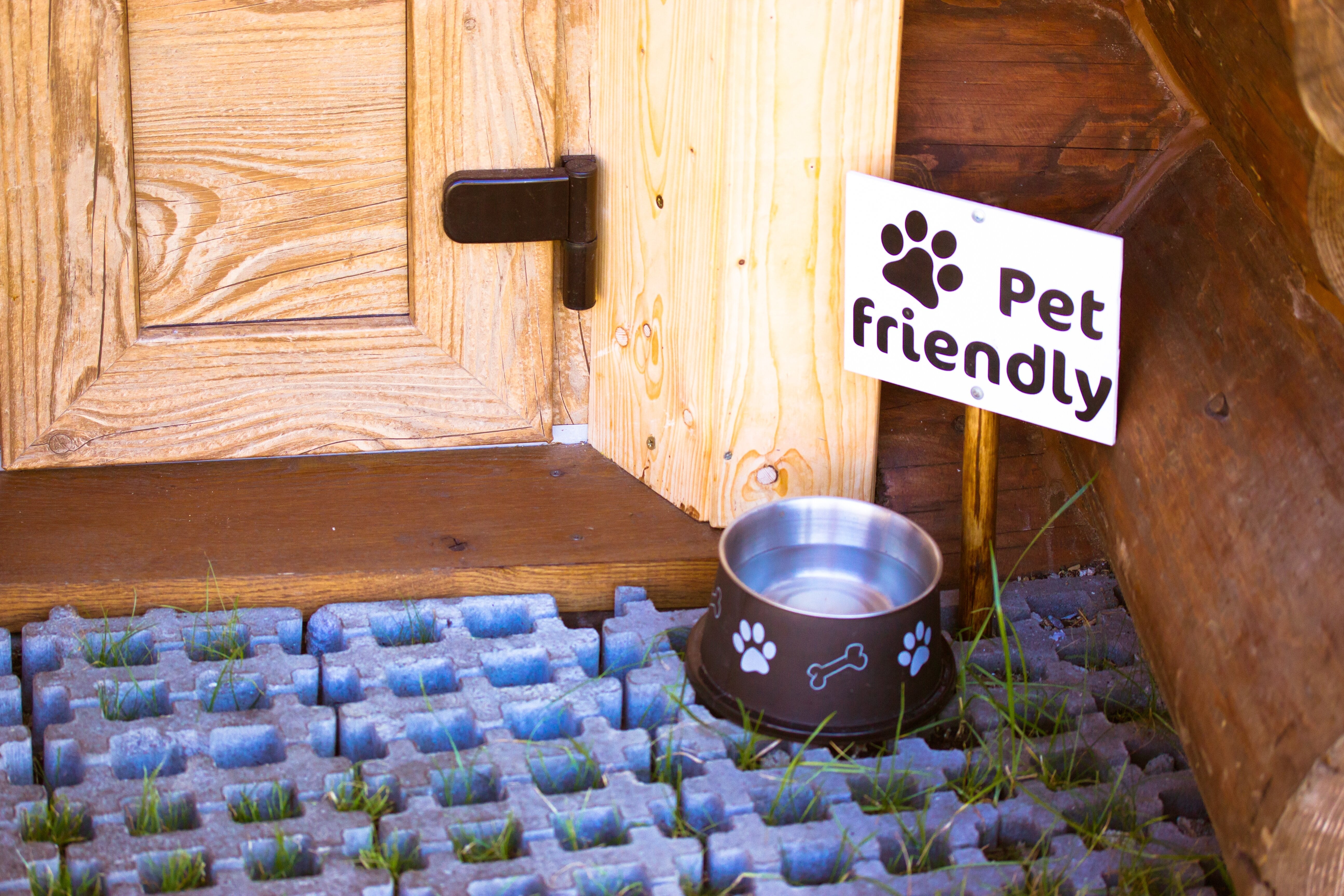 pet_friendly_businesses 