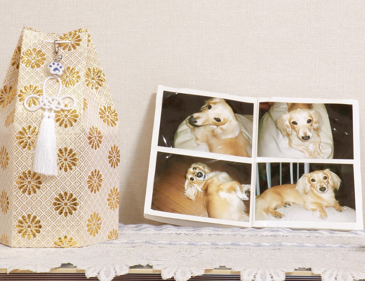 pet cremation