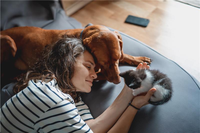 pet caring